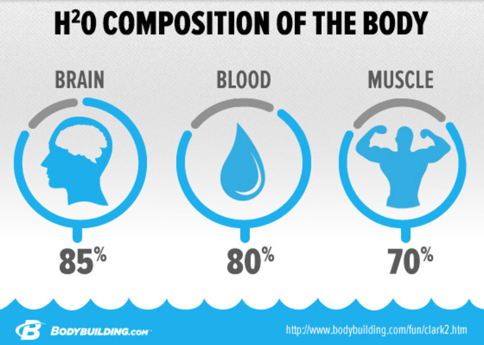 H2O composition of the body